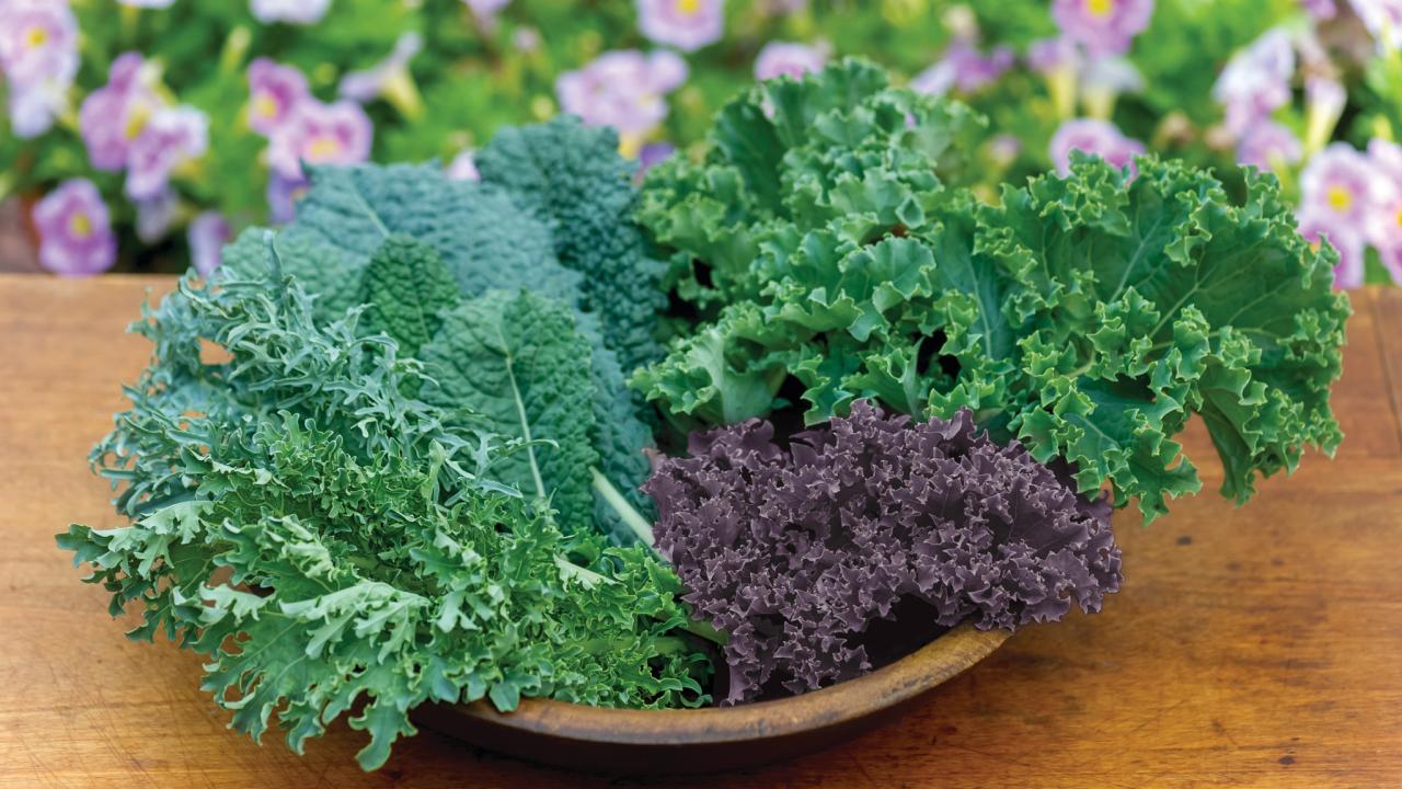 how-to-cook-frozen-kale