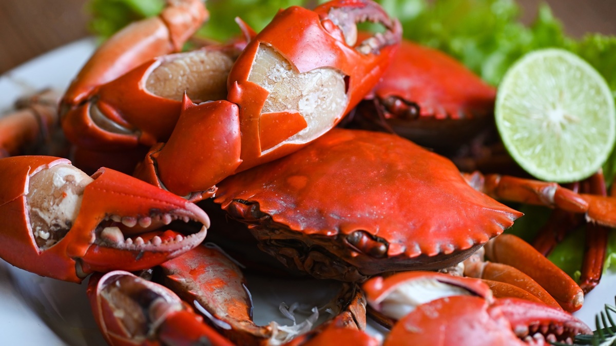 how-to-cook-jonah-crab