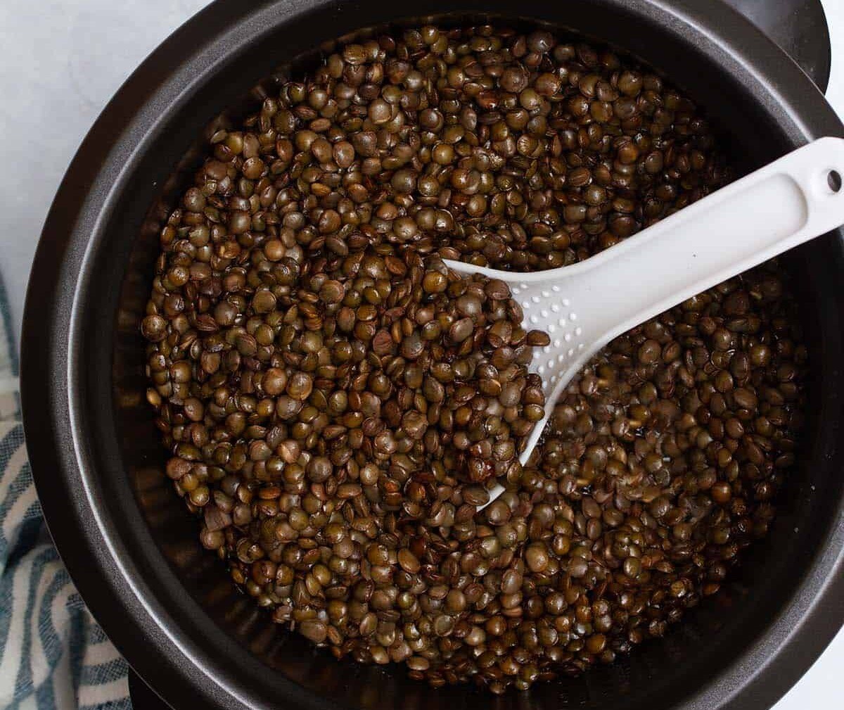 how-to-cook-lentils-in-rice-cooker
