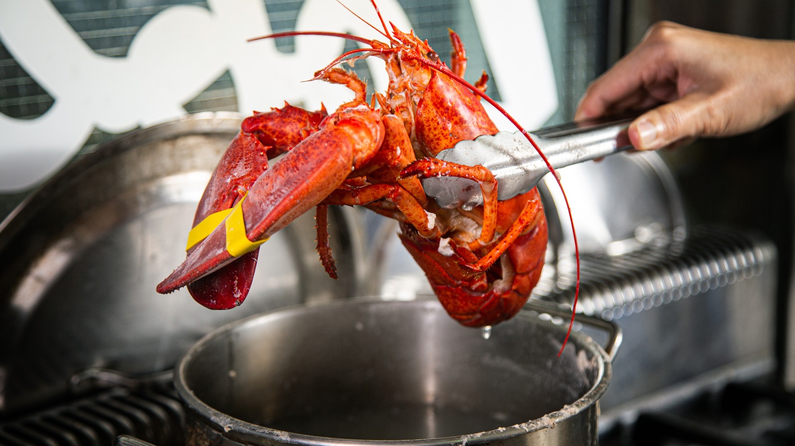 how-to-cook-lobster-on-the-stove