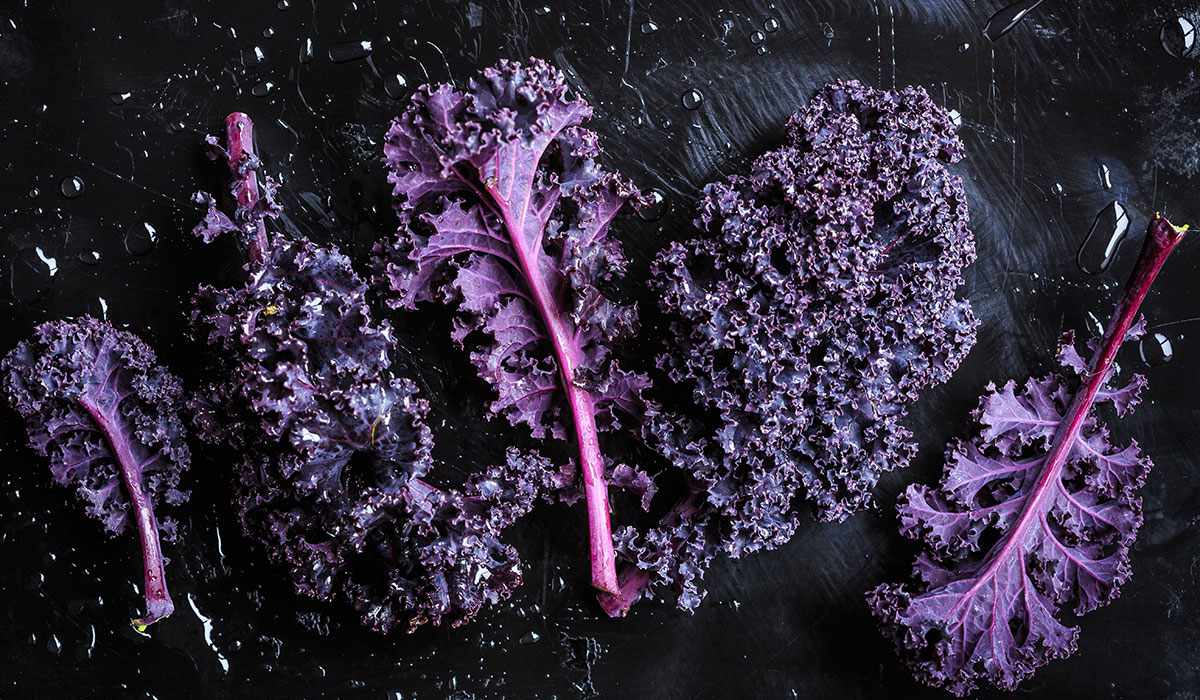 how-to-cook-purple-kale