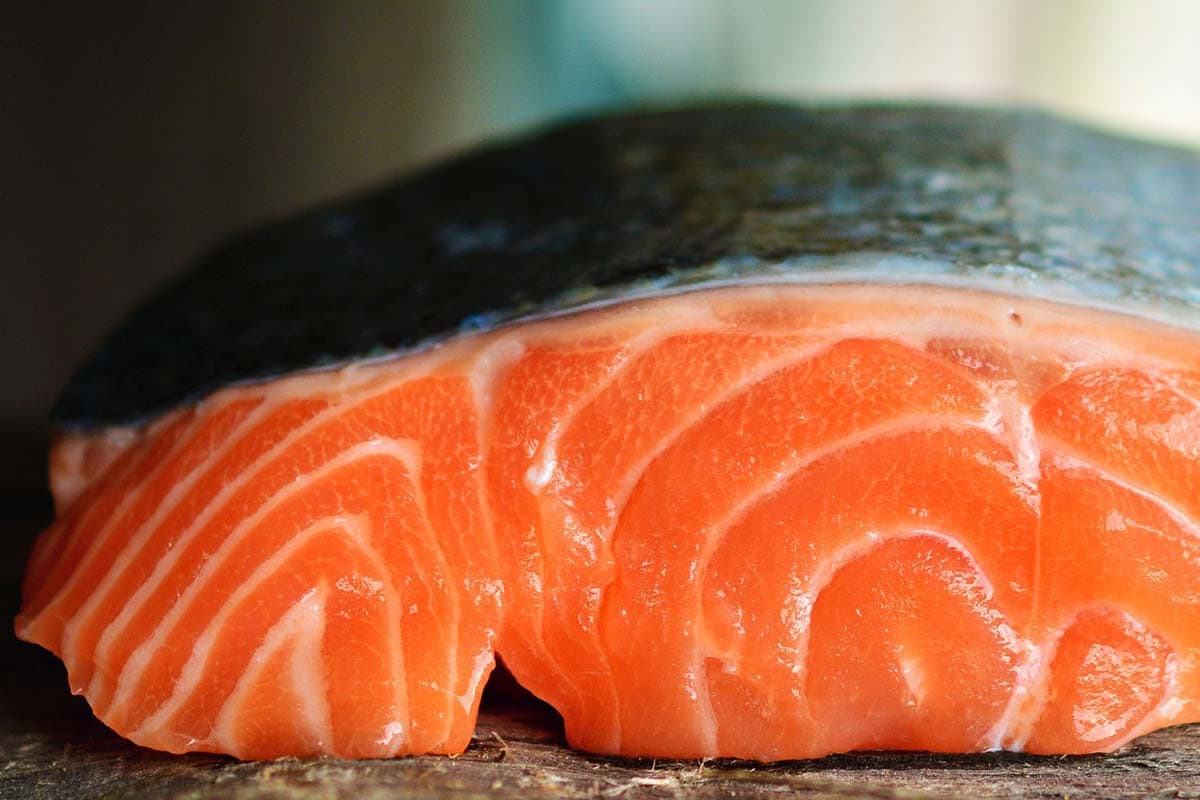how-to-cook-salmon-for-cats