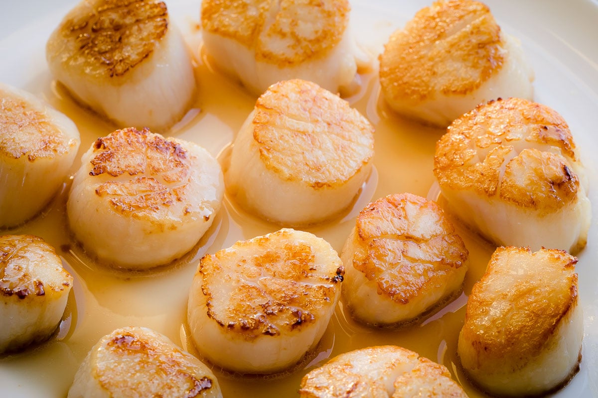 how-to-cook-scallops