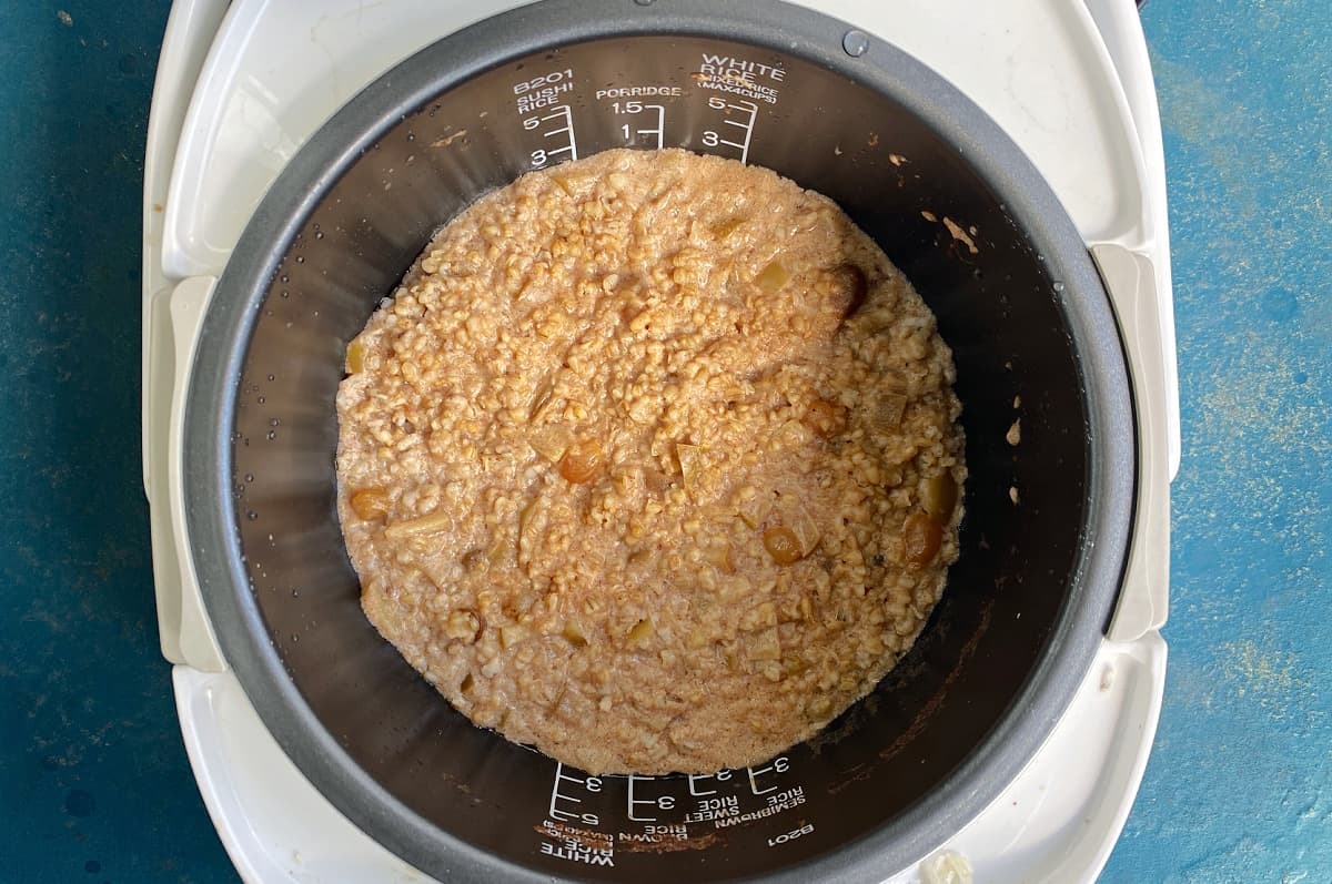 how-to-cook-steel-cut-oats-in-rice-cooker