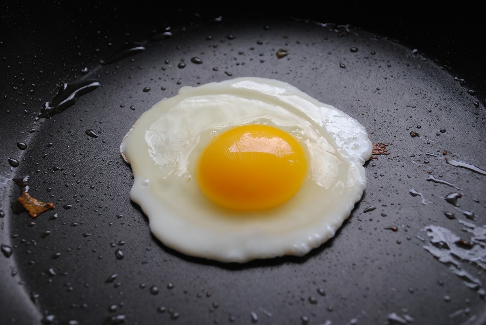 how-to-cook-the-perfect-fried-egg