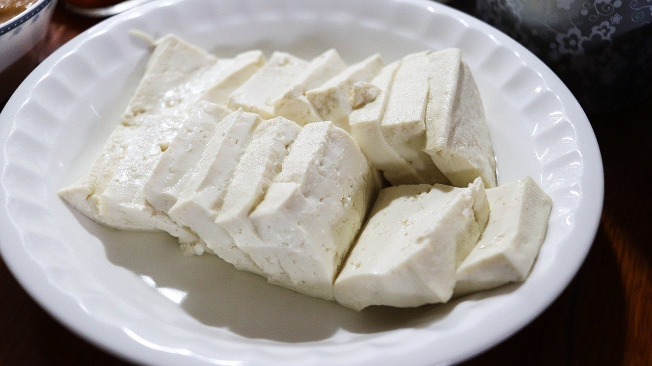 how-to-cook-tofu-for-dogs