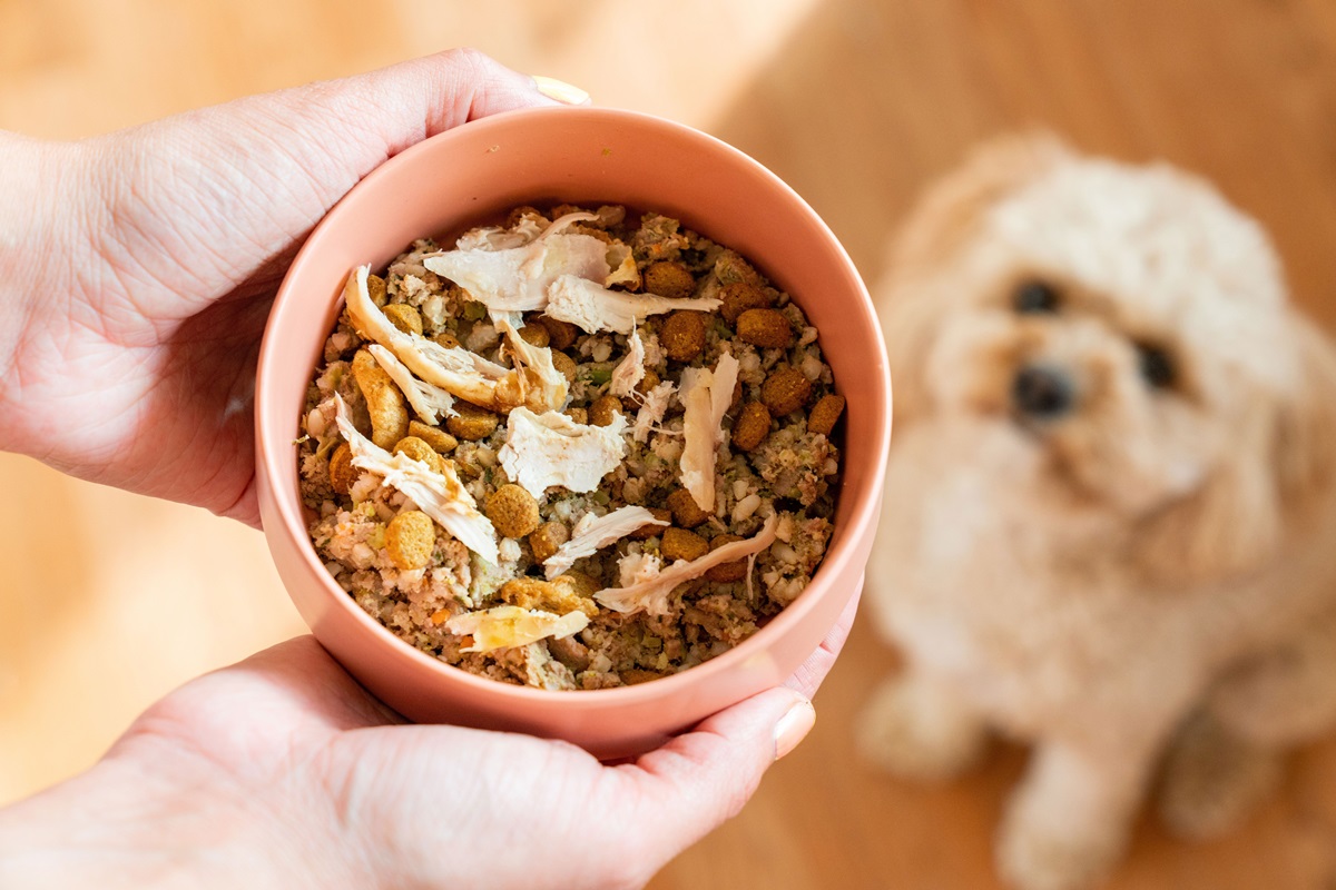 how-to-cook-turkey-for-dogs