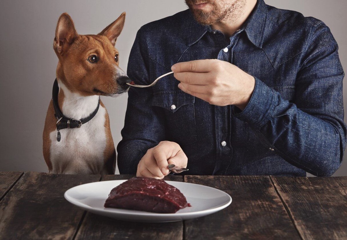 Is raw liver 2025 good for dogs