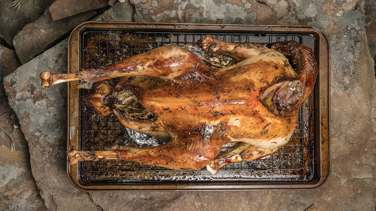 how-to-cook-wild-turkey