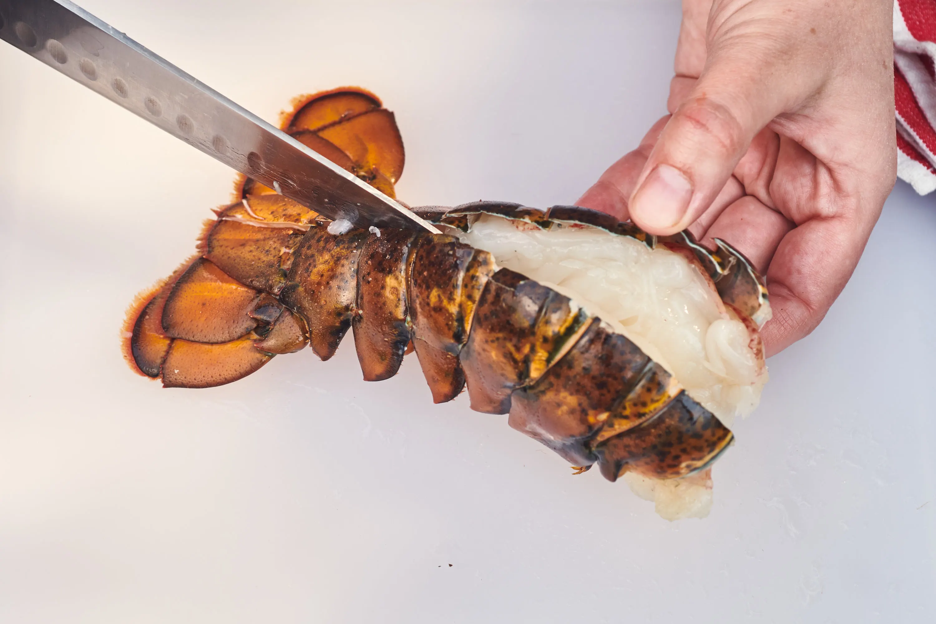 how-to-cut-a-lobster-tail-in-half