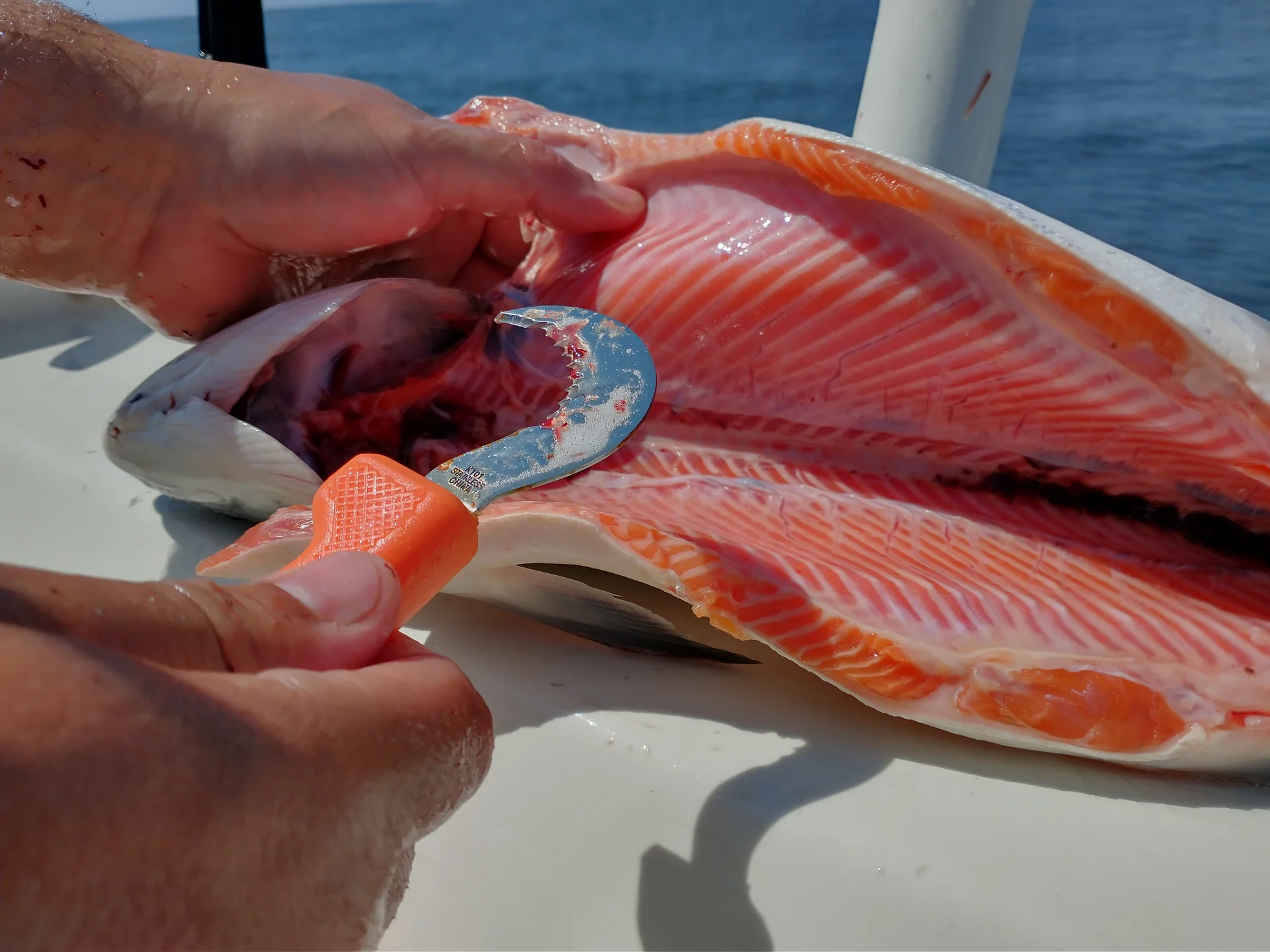 How To Cut Gills To Bleed Fish 