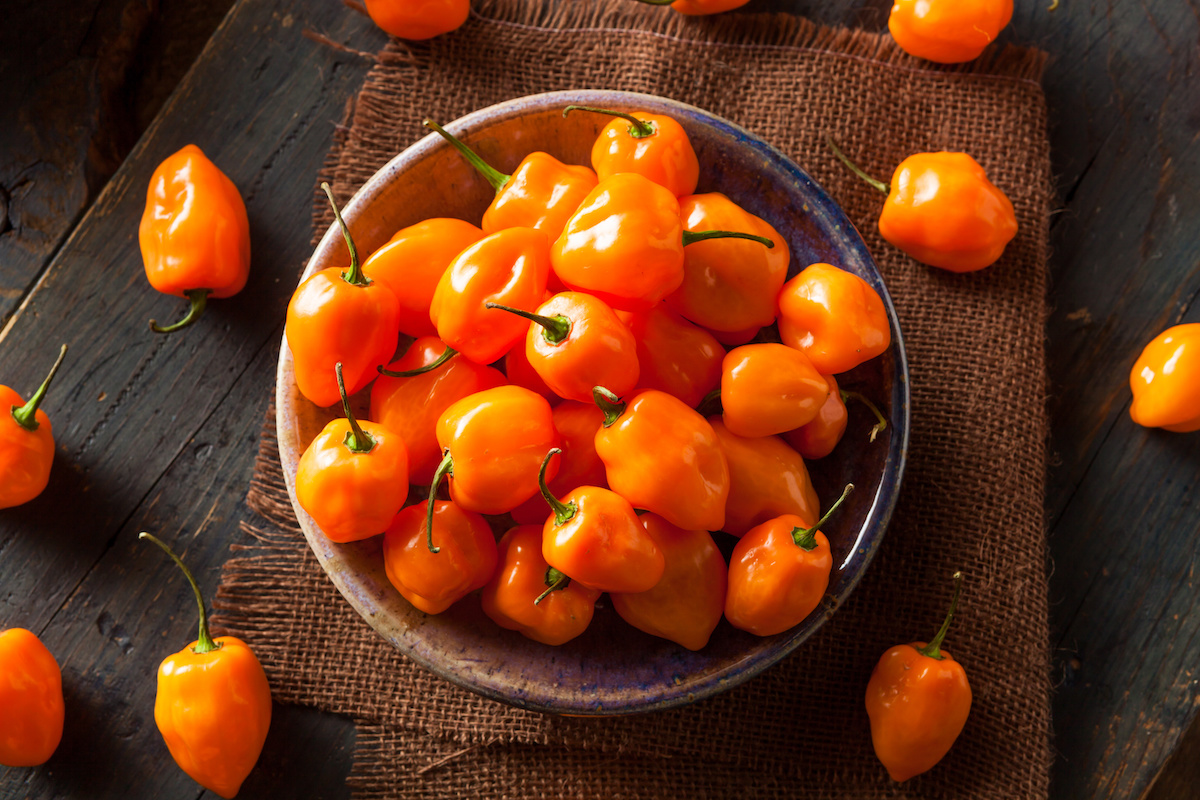 how-to-cut-habanero-peppers