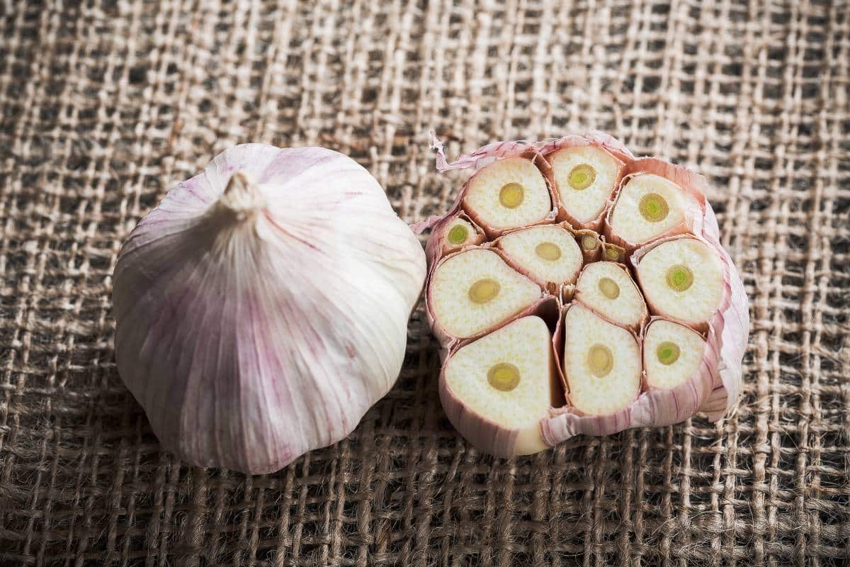 how-to-cut-head-of-garlic