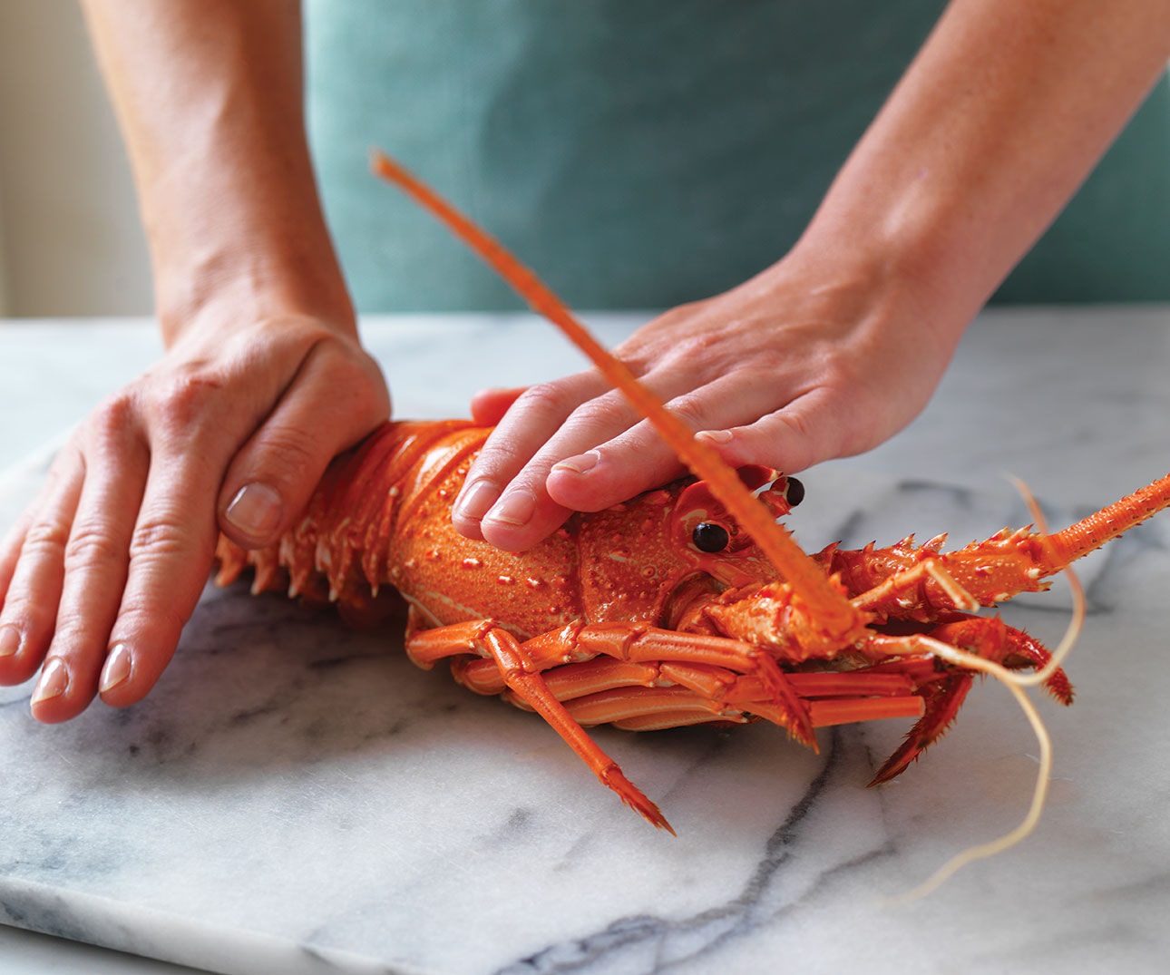 how-to-cut-lobster