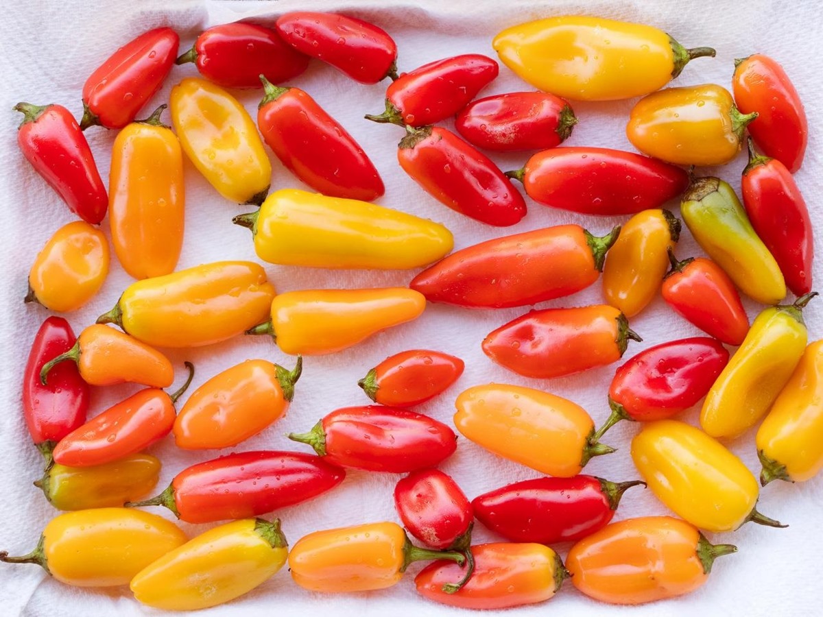 how-to-cut-mini-peppers-for-veggie-tray