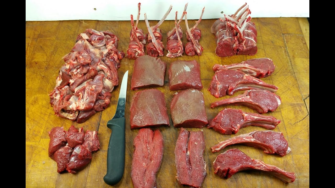 how-to-cut-up-a-deer-for-meat