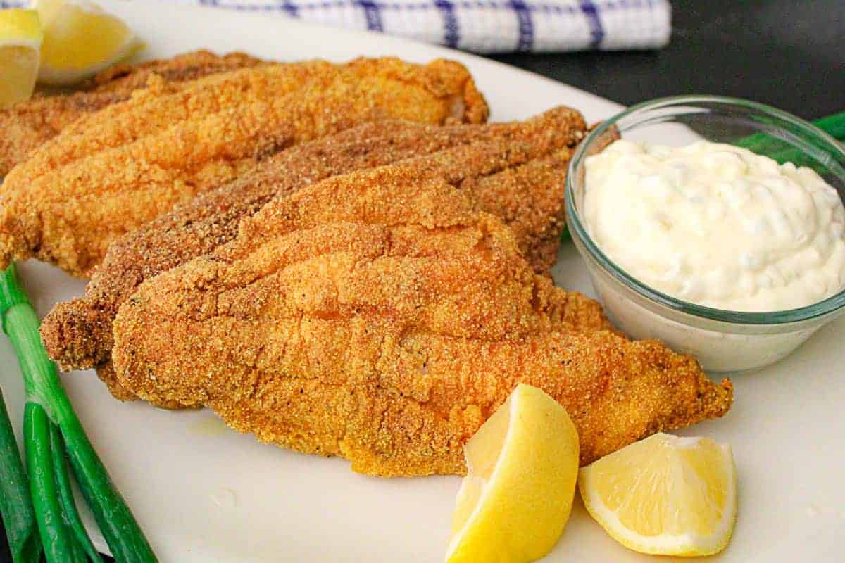 how-to-fry-catfish-fillets
