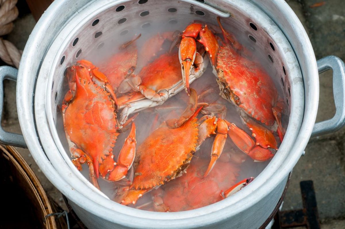 how-to-steam-crabs-without-a-steamer