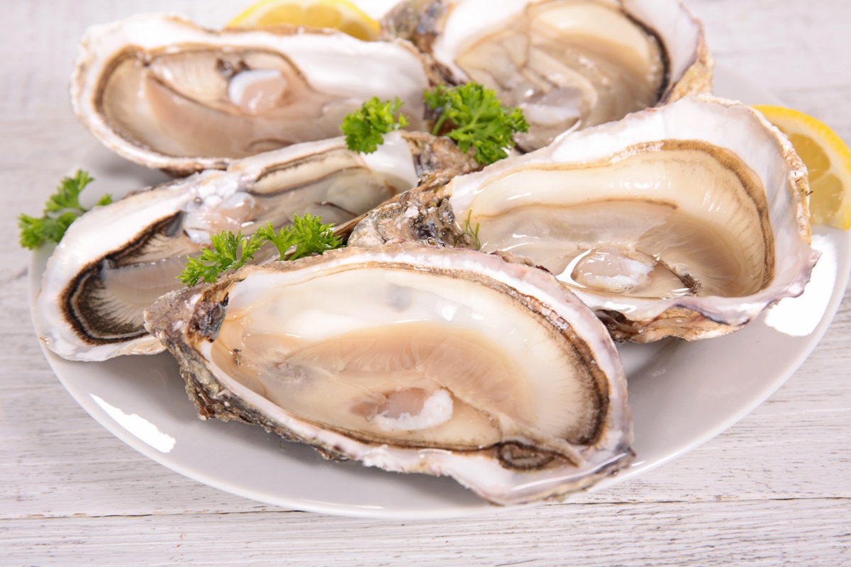 how-to-steam-oysters-on-the-stove
