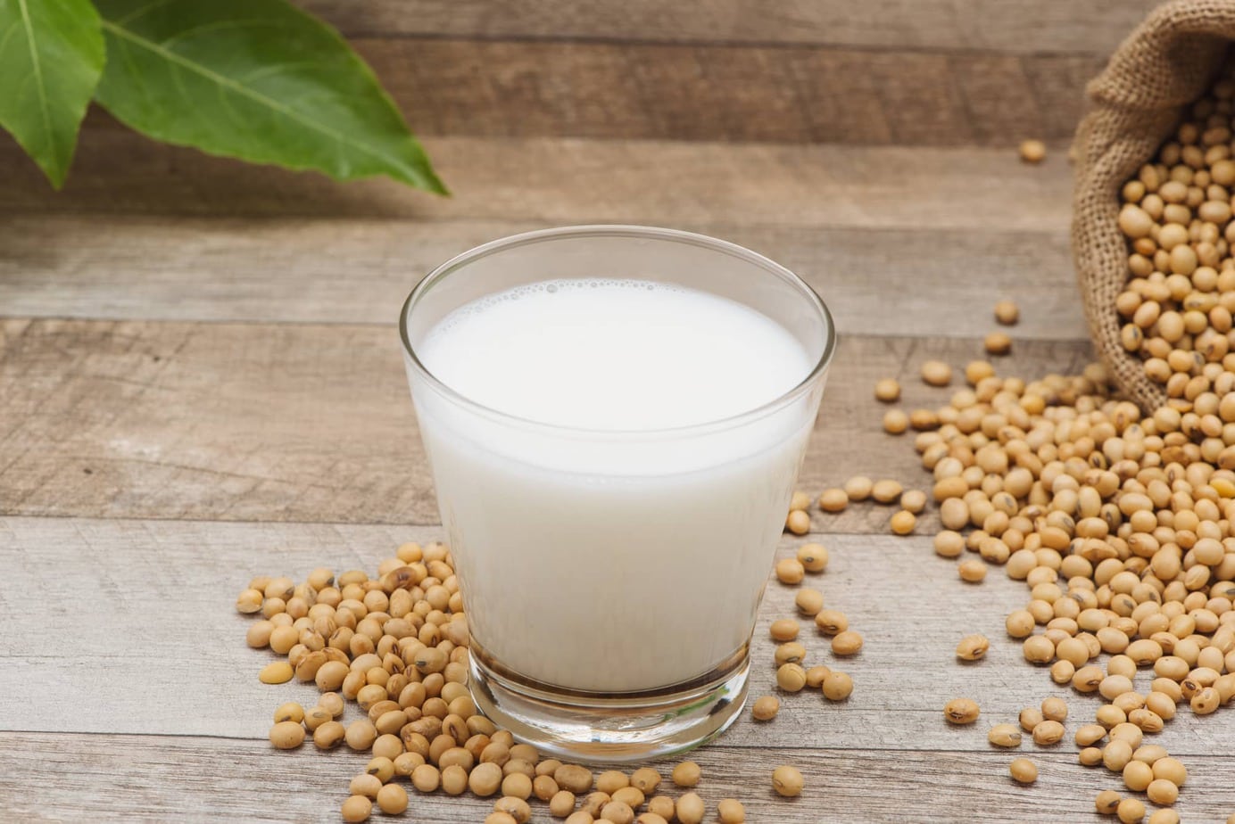 how-to-steam-soy-milk