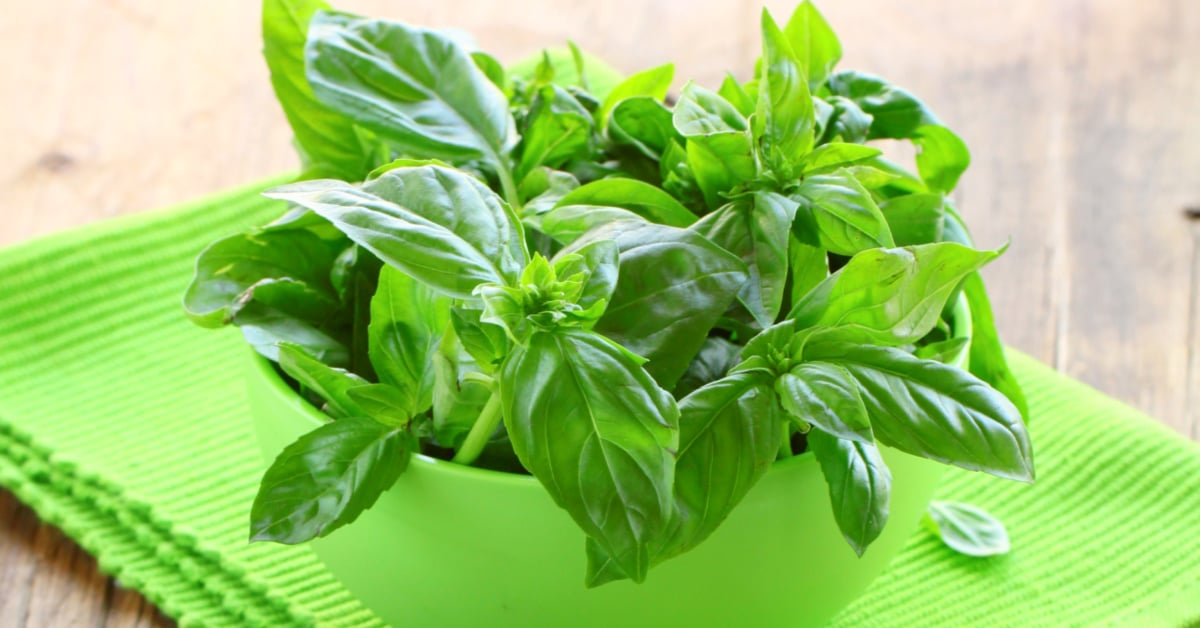 how-to-chop-basil