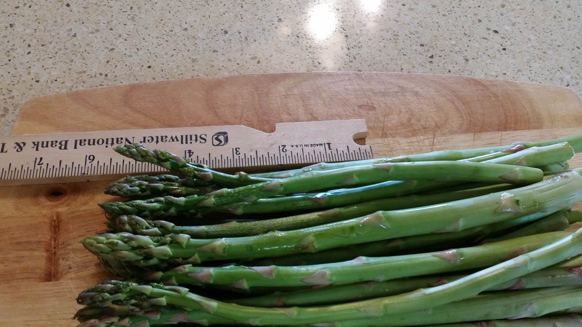 how-to-cook-canned-asparagus-in-the-oven