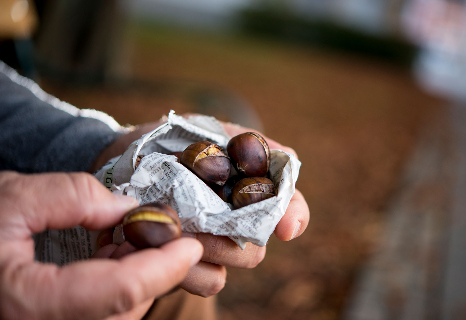 how-to-cook-chestnuts-in-microwave