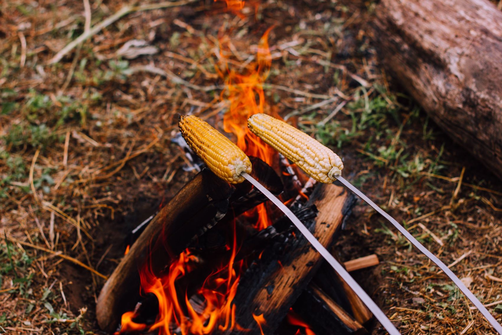 How To Cook Corn On A Fire