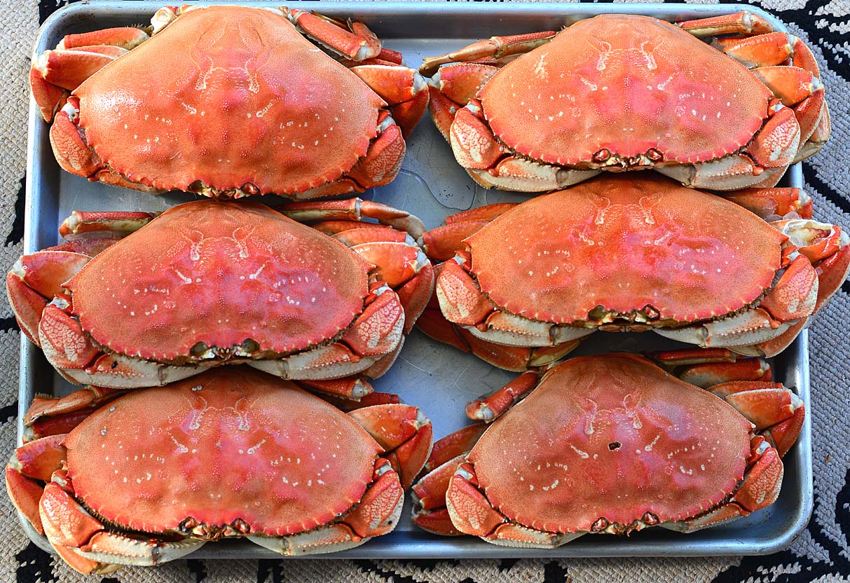 how-to-cook-costco-dungeness-crab