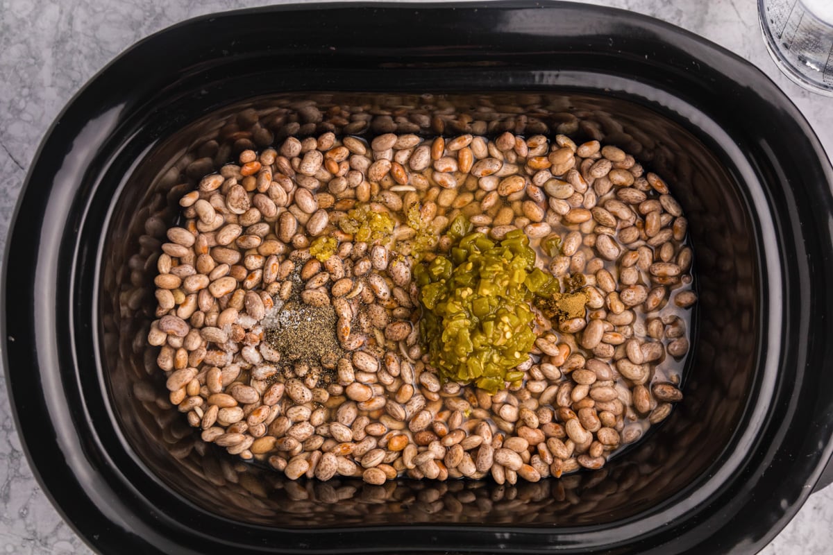 how-to-cook-dried-pinto-beans-in-crock-pot