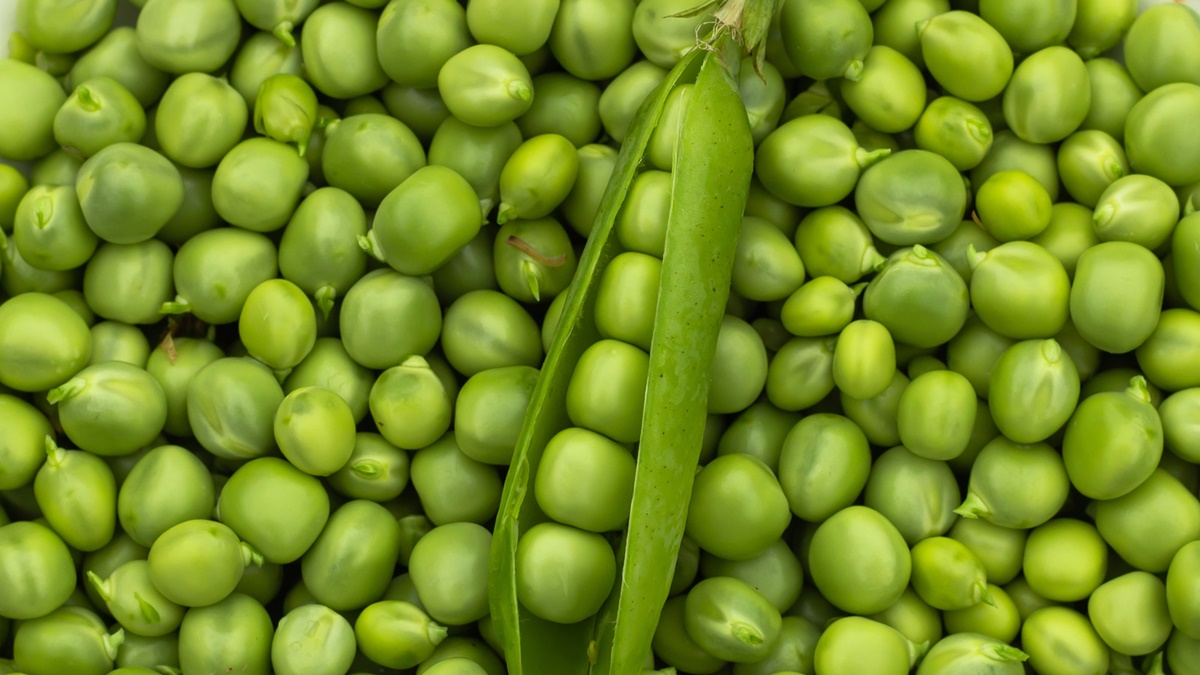 how-to-cook-fresh-peas-from-the-garden
