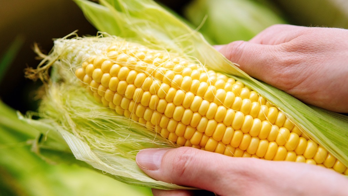 how-to-cook-frozen-corn-off-the-cob