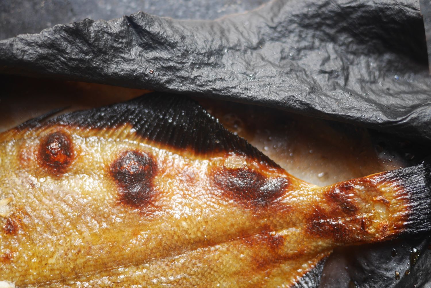 how-to-cook-frozen-fish