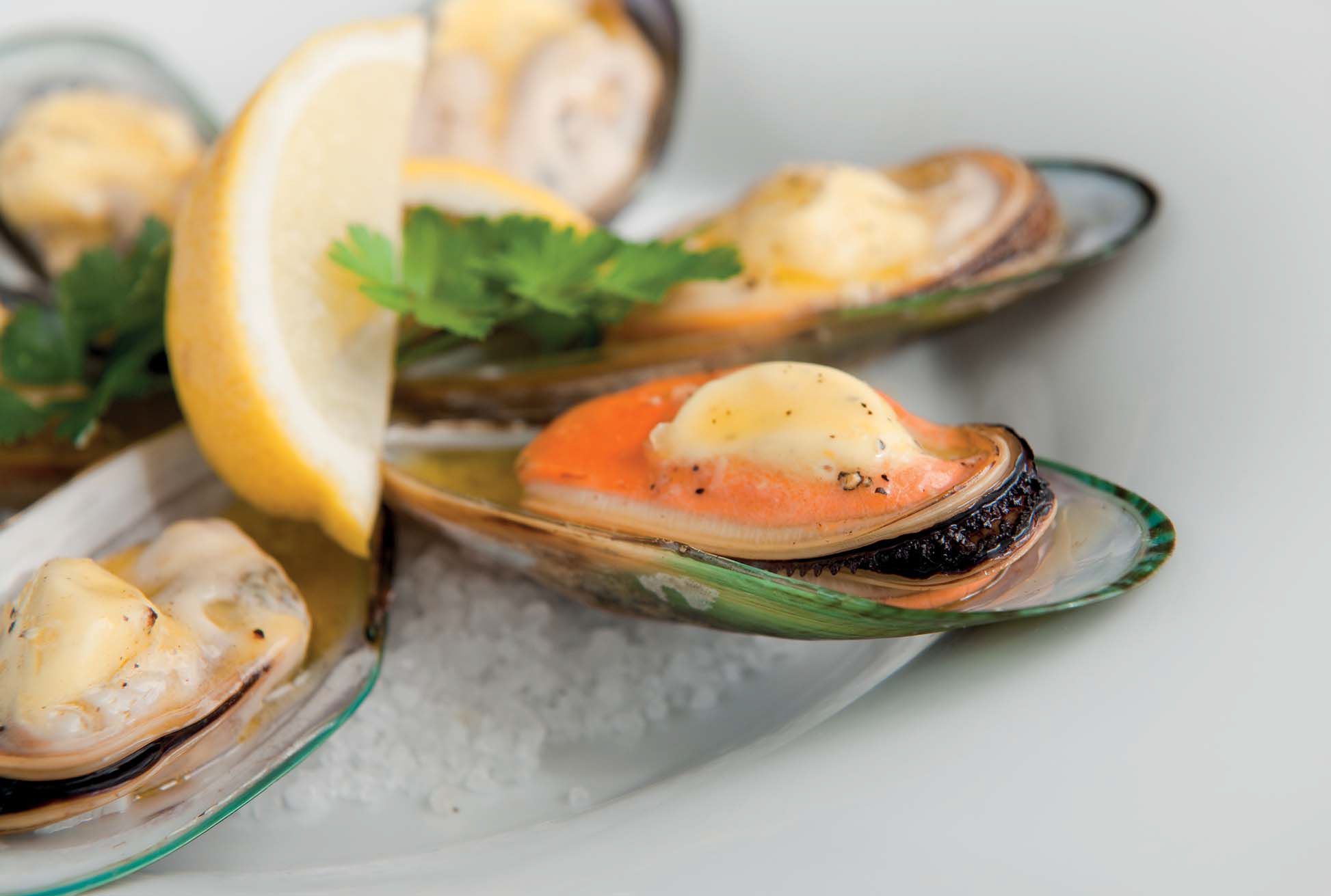 how-to-cook-half-shell-mussels-from-frozen