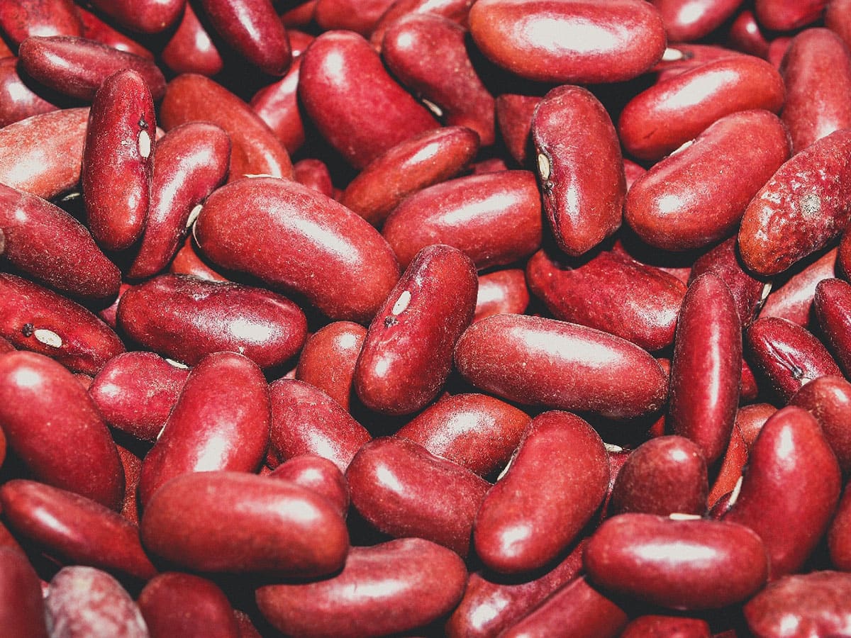 how-to-cook-kidney-beans-for-dogs