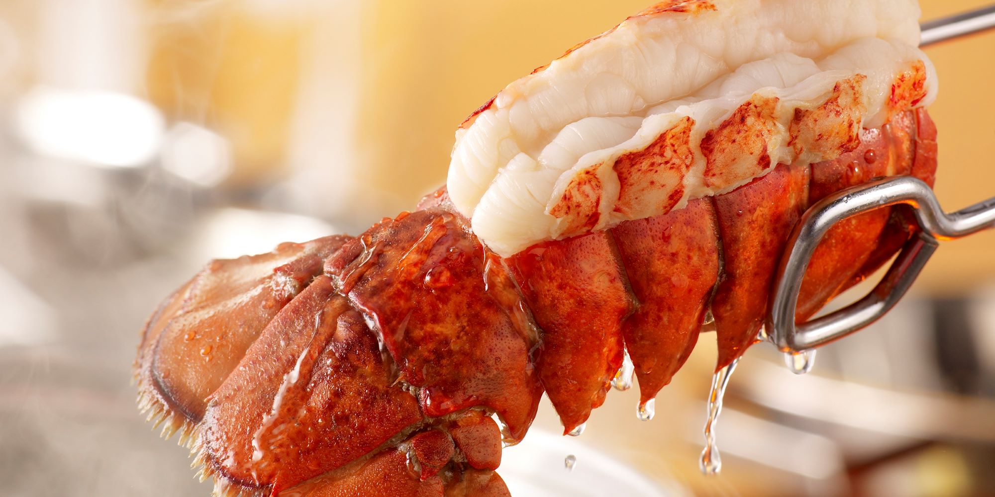 how-to-cook-lobster-meat