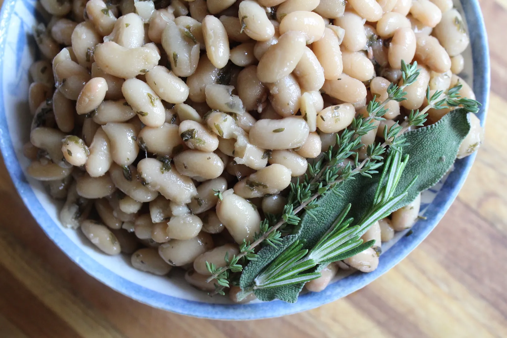 how-to-cook-northern-beans-in-instant-pot