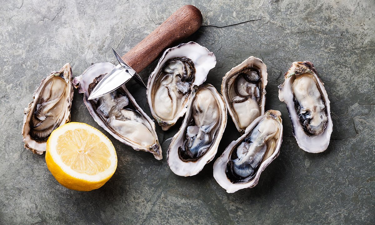 how-to-cook-oysters-for-dogs
