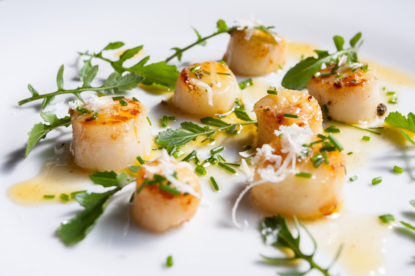 how-to-cook-patagonian-scallops