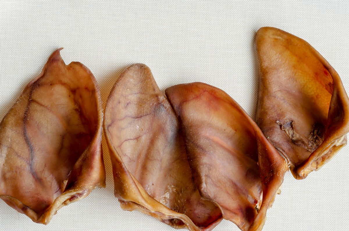 how-to-cook-pigs-ears-for-dogs