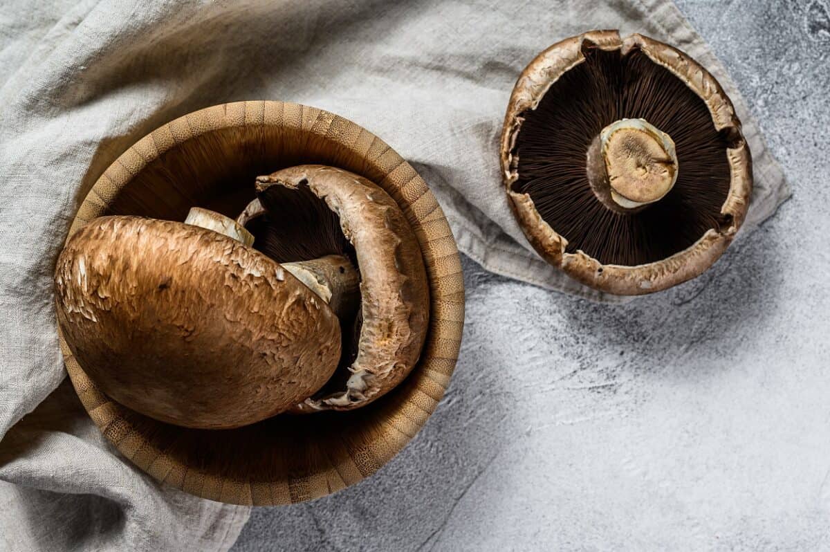 how-to-cook-portobello-mushrooms-on-stove