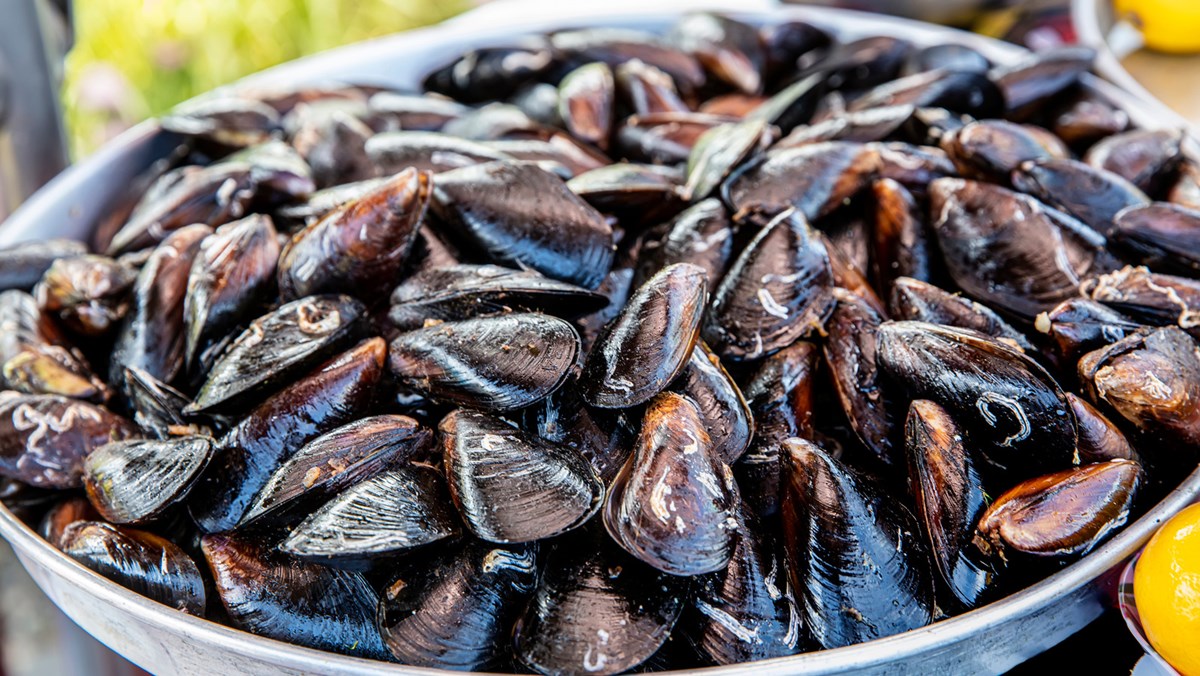 how-to-cook-pre-cooked-mussels