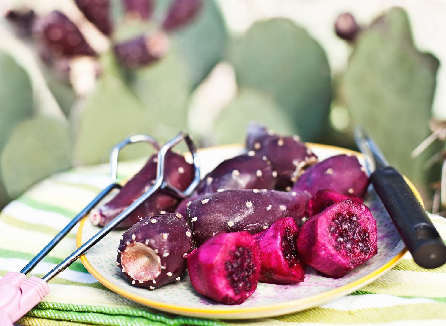 how-to-cook-prickly-pear-cactus