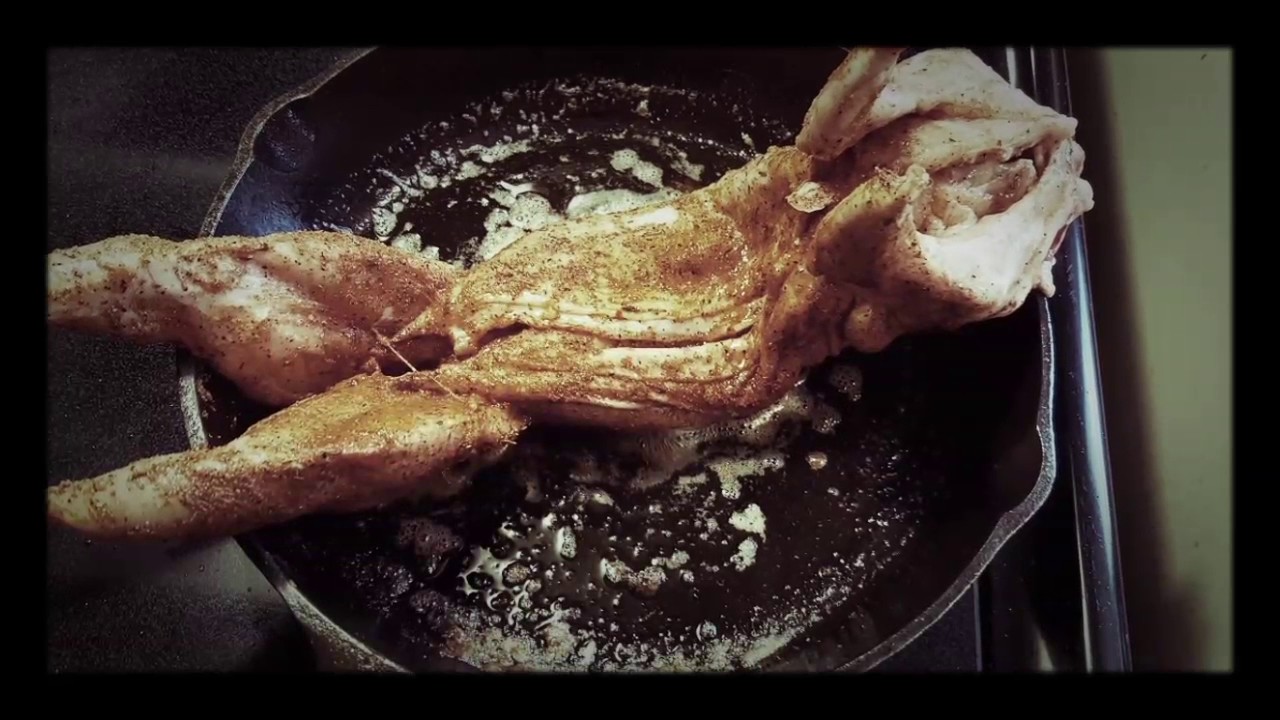 how-to-cook-rabbit-for-dogs