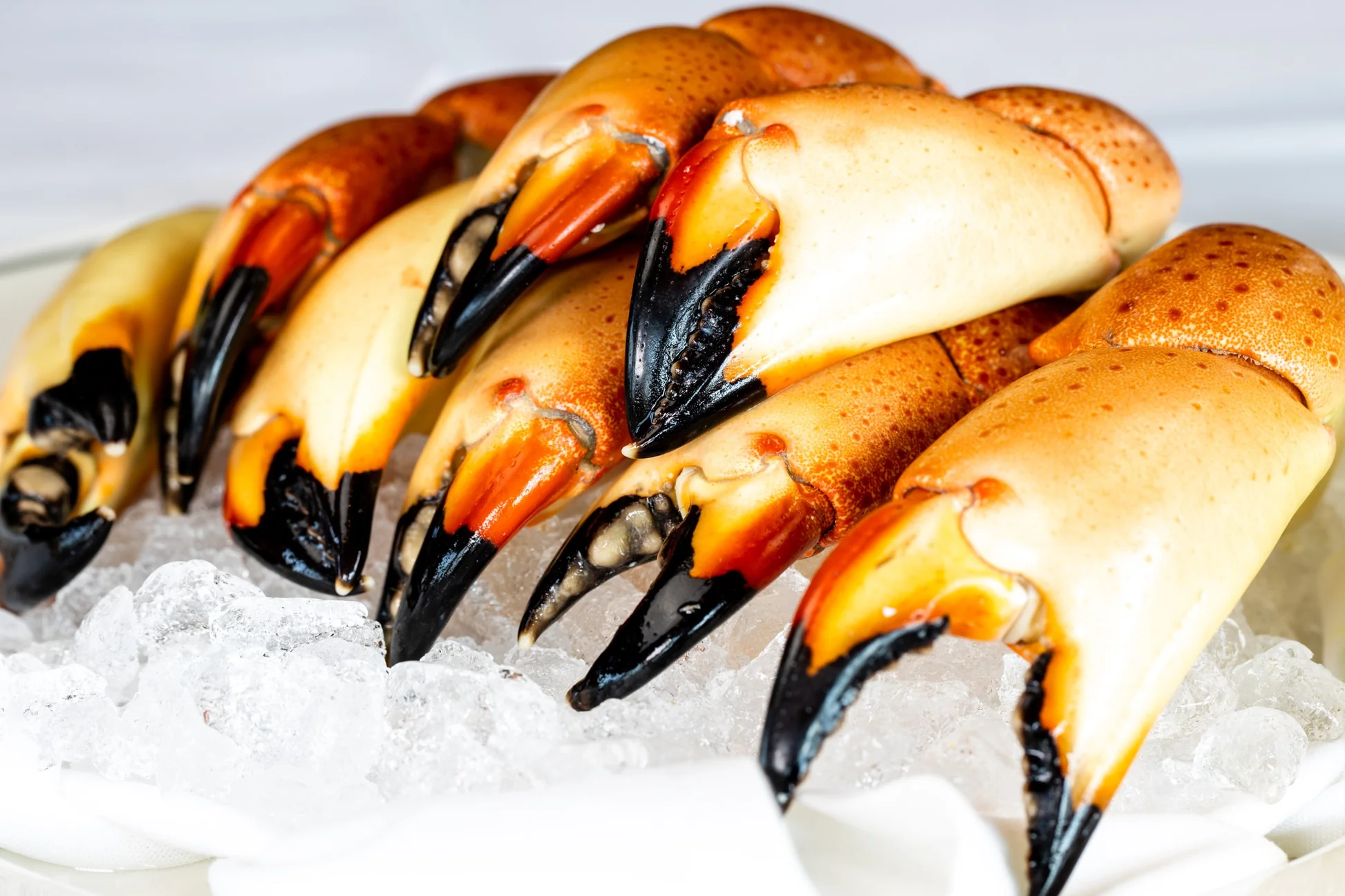 how-to-cook-raw-stone-crab-claws