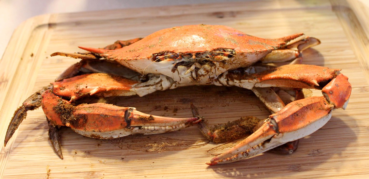 how-to-cook-sand-crabs