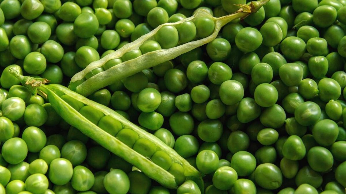 how-to-cook-sweet-peas-in-a-can