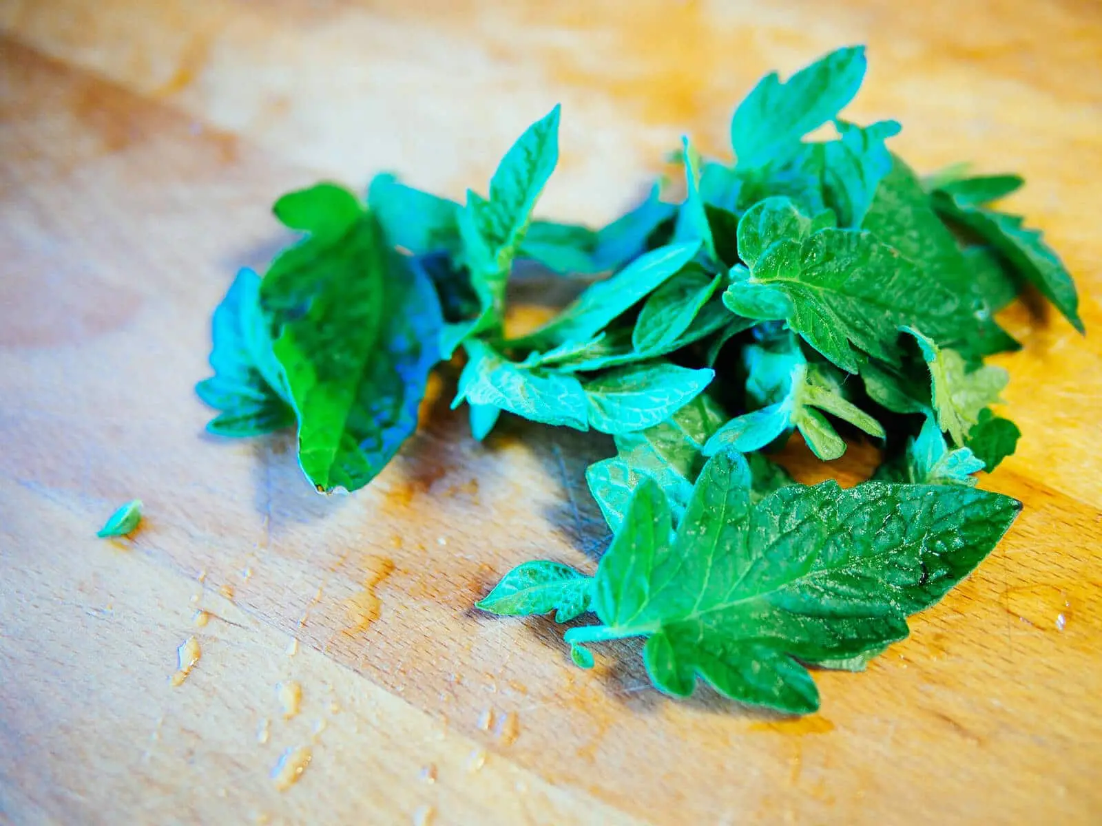 how-to-cook-tomato-leaves