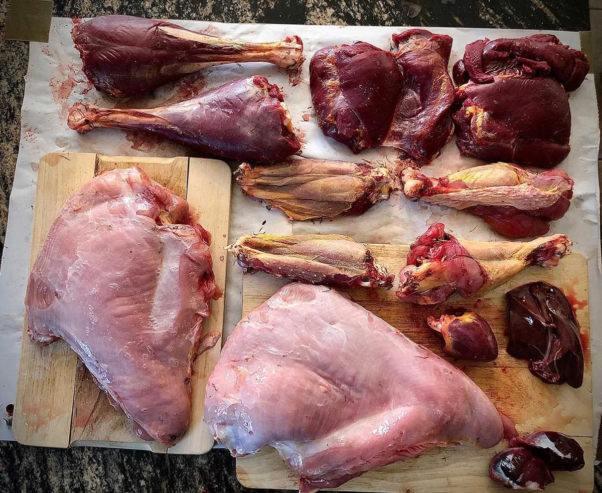 how-to-cook-turkey-giblets-for-dogs