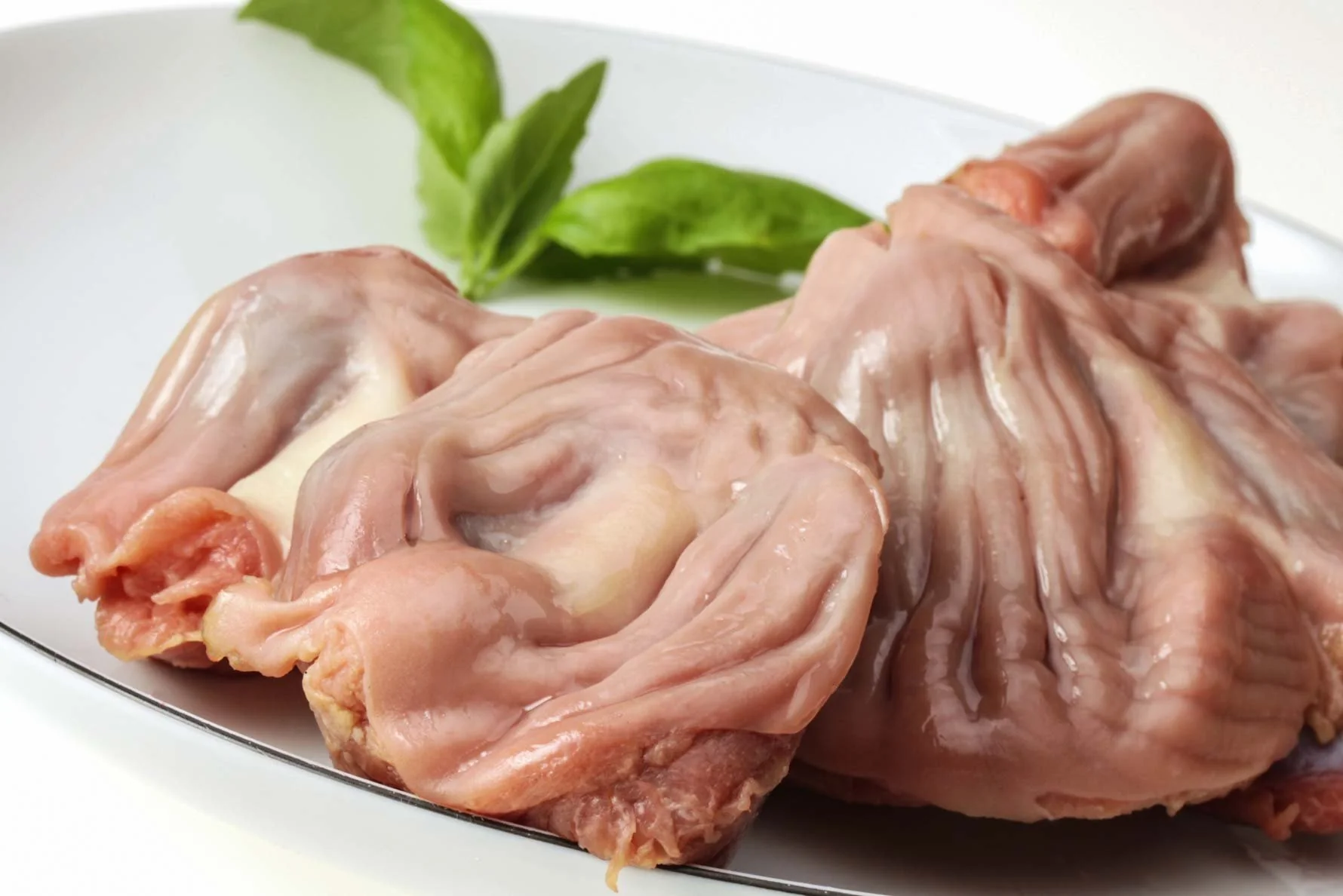 Raw chicken gizzard sales for dogs